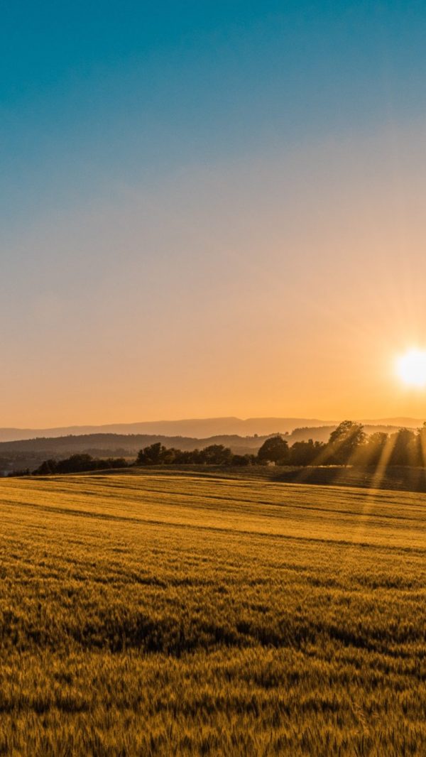 federico-respini-sYffw0LNr7s-unsplash federico-respini-sYffw0LNr7s-unsplash